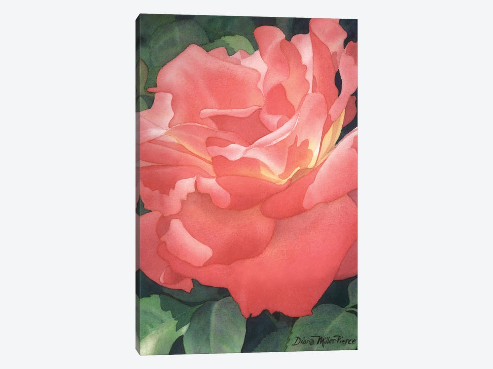 Embers Of A Rose by Diana Miller-Pierce 1-piece Art Print