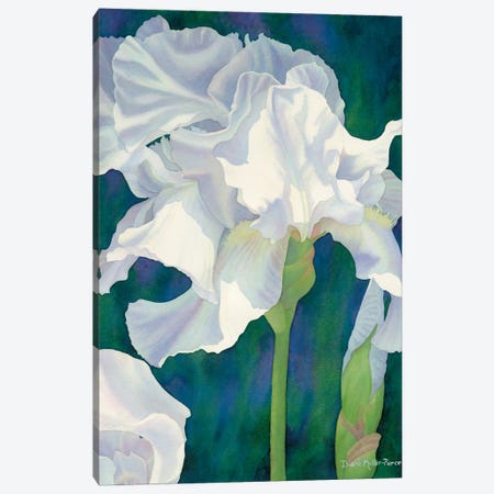 Ephemeral Spring-Iris Canvas Print #DMP38} by Diana Miller-Pierce Canvas Art Print