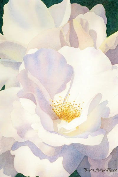 Falling In by Diana Miller-Pierce art print