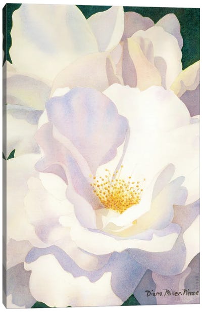 Falling In Canvas Art Print - Magnolia Art