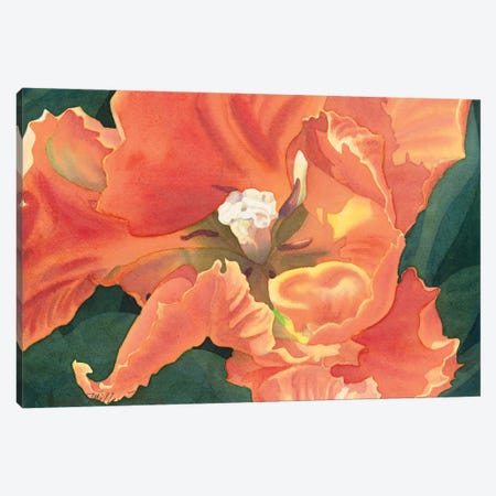 Flaming Parrot Tulip Canvas Print #DMP40} by Diana Miller-Pierce Canvas Artwork
