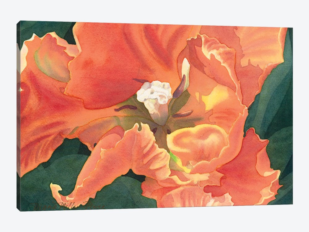 Flaming Parrot Tulip by Diana Miller-Pierce 1-piece Canvas Print