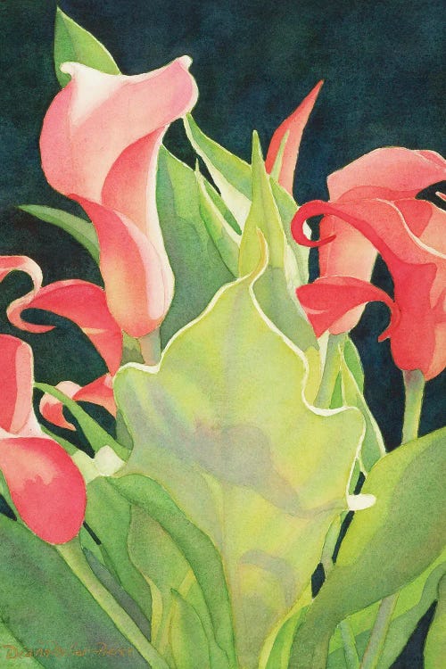 Floral Sentinel-Calla Lily