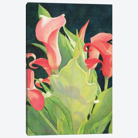 Floral Sentinel-Calla Lily Canvas Print #DMP41} by Diana Miller-Pierce Canvas Artwork