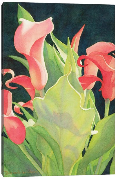 Floral Sentinel-Calla Lily Canvas Art Print
