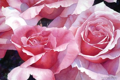 For The Love Of Roses by Diana Miller-Pierce canvas print