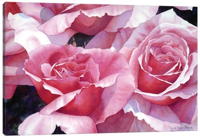 For The Love Of Roses Canvas Art Print - Diana Miller-Pierce