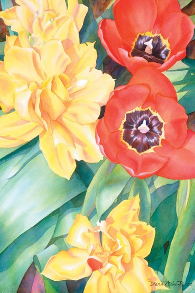 Interwoven by Diana Miller-Pierce art print