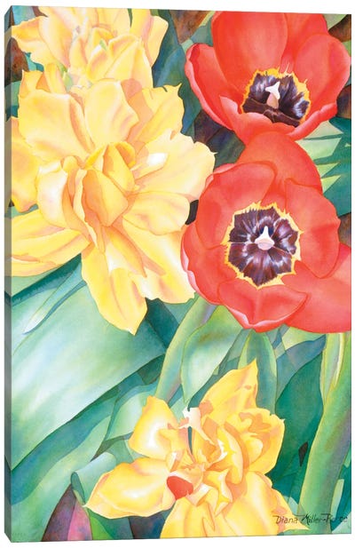 Interwoven Canvas Art Print - Daffodil Art