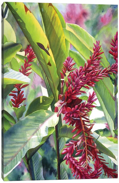 Jamaican Ginger Canvas Art Print - Diana Miller-Pierce