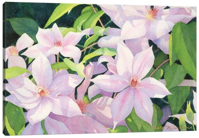 Lavender Peace Canvas Art Print - Diana Miller-Pierce