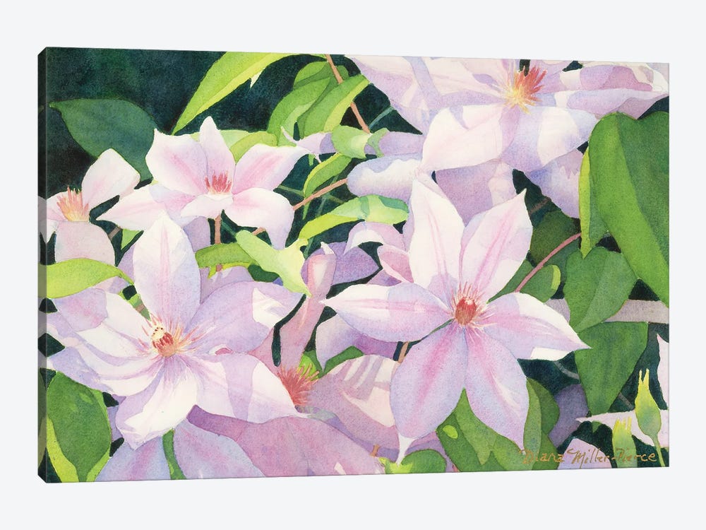 Lavender Peace by Diana Miller-Pierce 1-piece Art Print