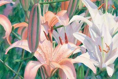 Lilies Of The Field by Diana Miller-Pierce art print
