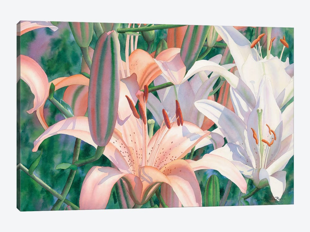 Lilies Of The Field by Diana Miller-Pierce 1-piece Canvas Print