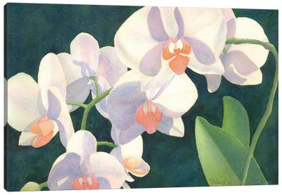 Meditation In White Canvas Art Print - Orchid Art
