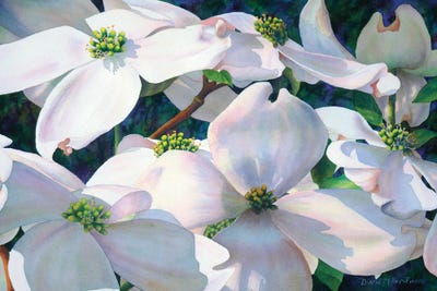 Moderato by Diana Miller-Pierce art print