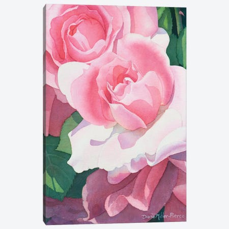 Opening Act-Roses Canvas Print #DMP69} by Diana Miller-Pierce Canvas Artwork