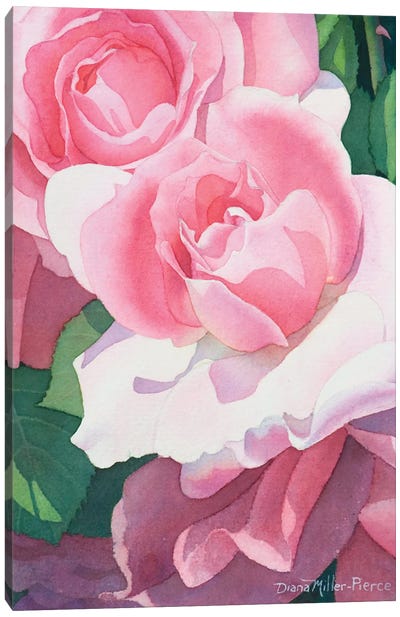 Opening Act-Roses Canvas Art Print - Diana Miller-Pierce