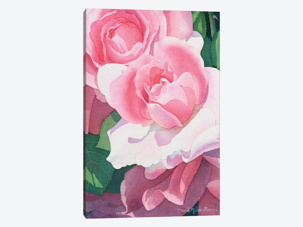 Opening Act-Roses by Diana Miller-Pierce 1-piece Canvas Artwork