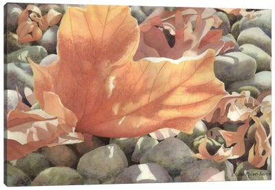 A Stone's Throw Canvas Art Print - Diana Miller-Pierce