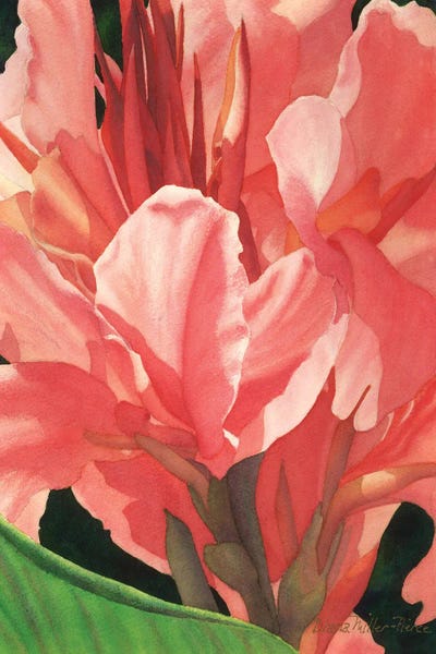 Passion In Red by Diana Miller-Pierce art print