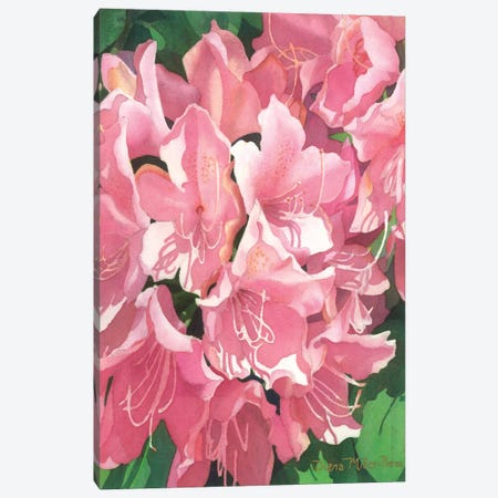 Pink Cotillion Canvas Print #DMP74} by Diana Miller-Pierce Canvas Wall Art