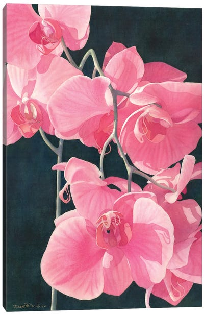 Pink Exotic Splendor Canvas Art Print - Green Art