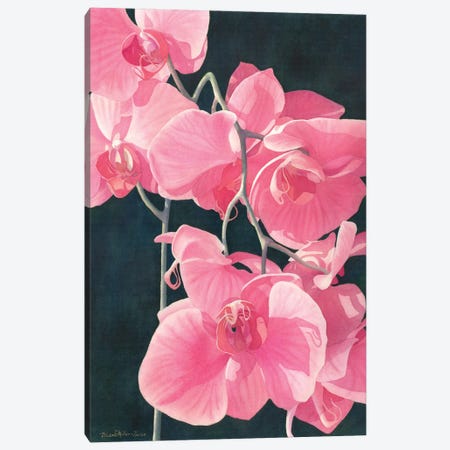Pink Exotic Splendor Canvas Print #DMP75} by Diana Miller-Pierce Canvas Artwork