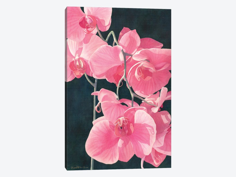 Pink Exotic Splendor by Diana Miller-Pierce 1-piece Canvas Art Print