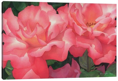 Pink Famenco Canvas Art Print - Similar to Georgia O'Keeffe