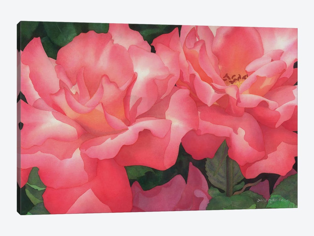 Pink Famenco by Diana Miller-Pierce 1-piece Canvas Print