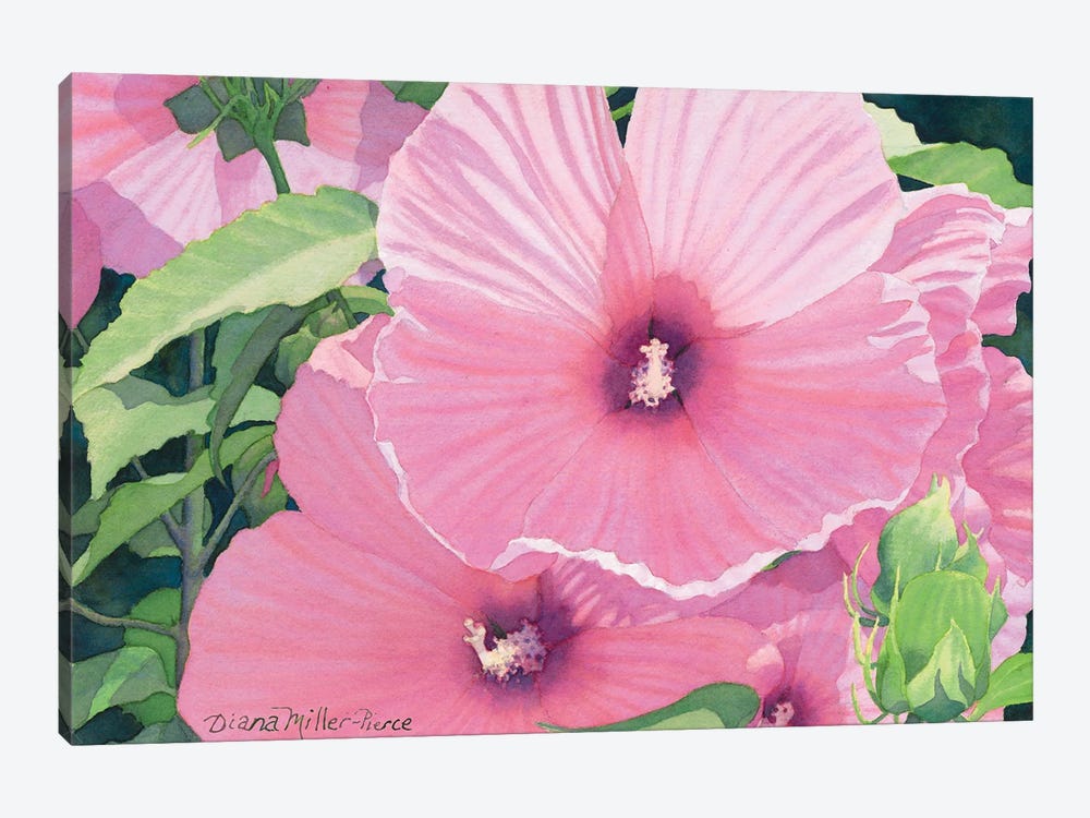 Pink Sonata by Diana Miller-Pierce 1-piece Canvas Artwork