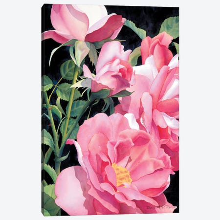 Pinks Beyond The Pale Canvas Print #DMP79} by Diana Miller-Pierce Art Print
