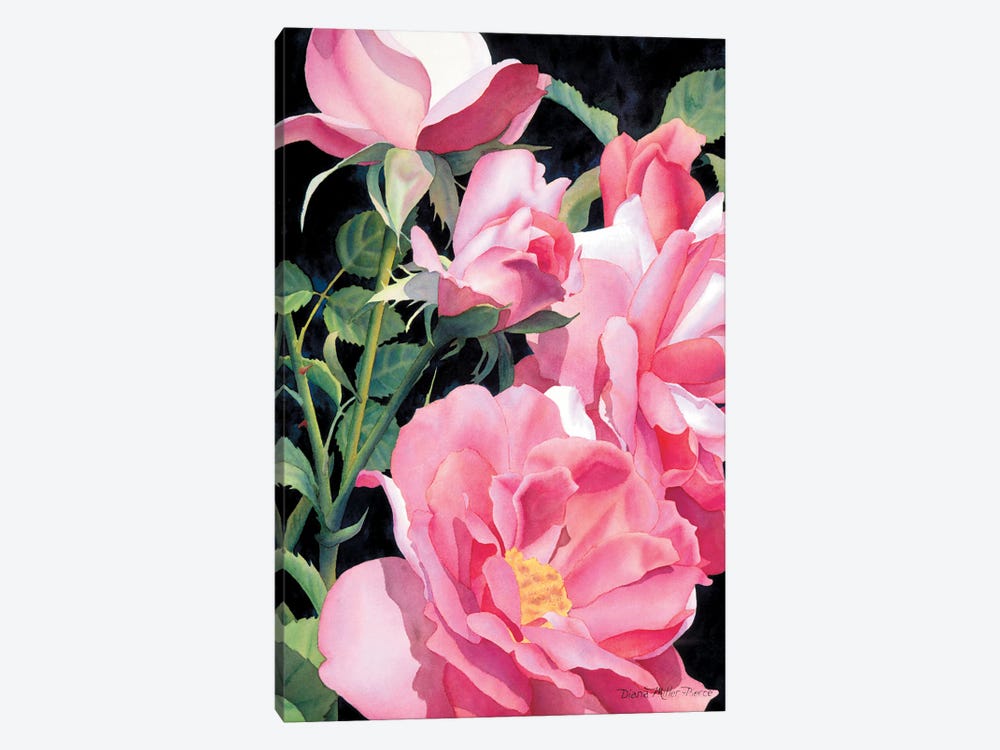 Pinks Beyond The Pale by Diana Miller-Pierce 1-piece Canvas Art Print