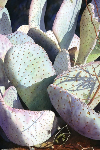 Risk A Touch by Diana Miller-Pierce art print