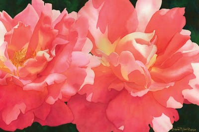 Rose by Diana Miller-Pierce art print