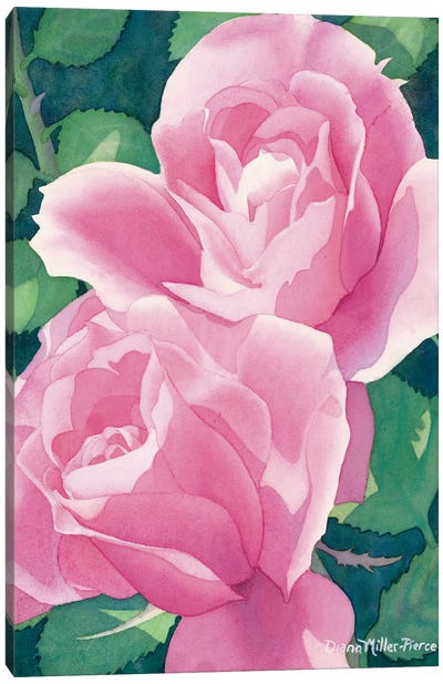 Rose Fever Canvas Art Print - Diana Miller-Pierce