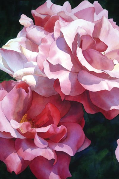 Roses Are Red by Diana Miller-Pierce canvas print