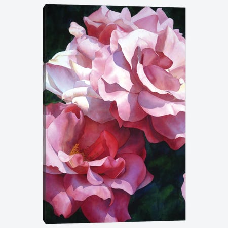 Roses Are Red Canvas Print #DMP86} by Diana Miller-Pierce Canvas Print