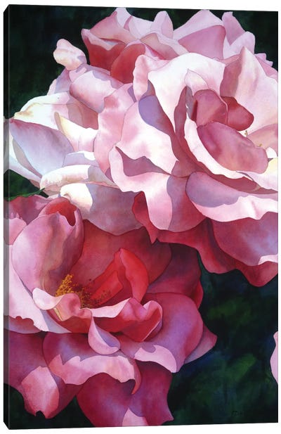 Roses Are Red Canvas Art Print - Diana Miller-Pierce