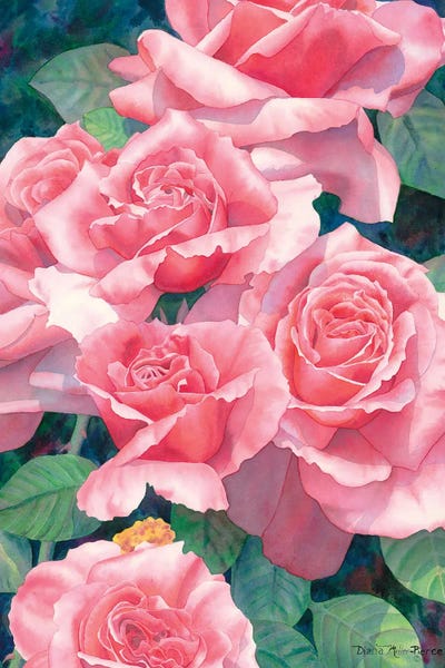 Roses' Roses' Roses by Diana Miller-Pierce canvas print