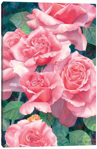 Roses' Roses' Roses Canvas Art Print - Diana Miller-Pierce