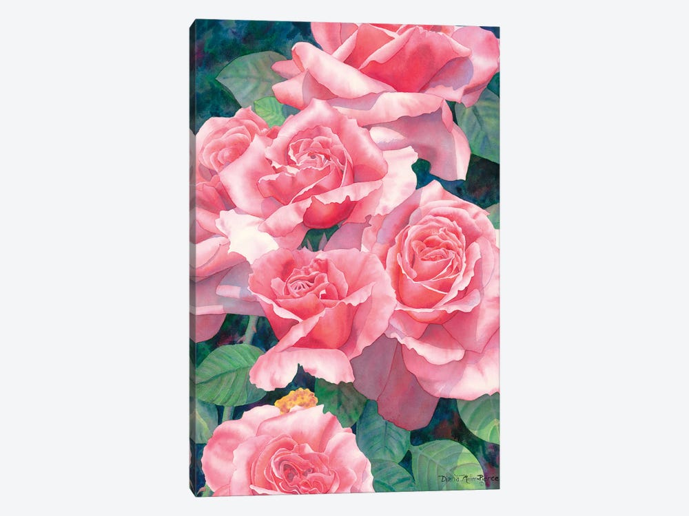 Roses' Roses' Roses by Diana Miller-Pierce 1-piece Canvas Wall Art