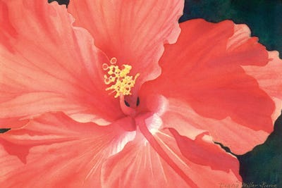 Scarlett Passion by Diana Miller-Pierce art print