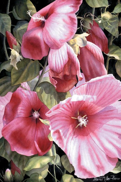 Serenade by Diana Miller-Pierce art print