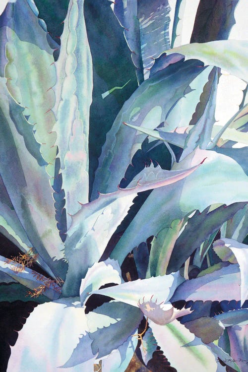 Agave I