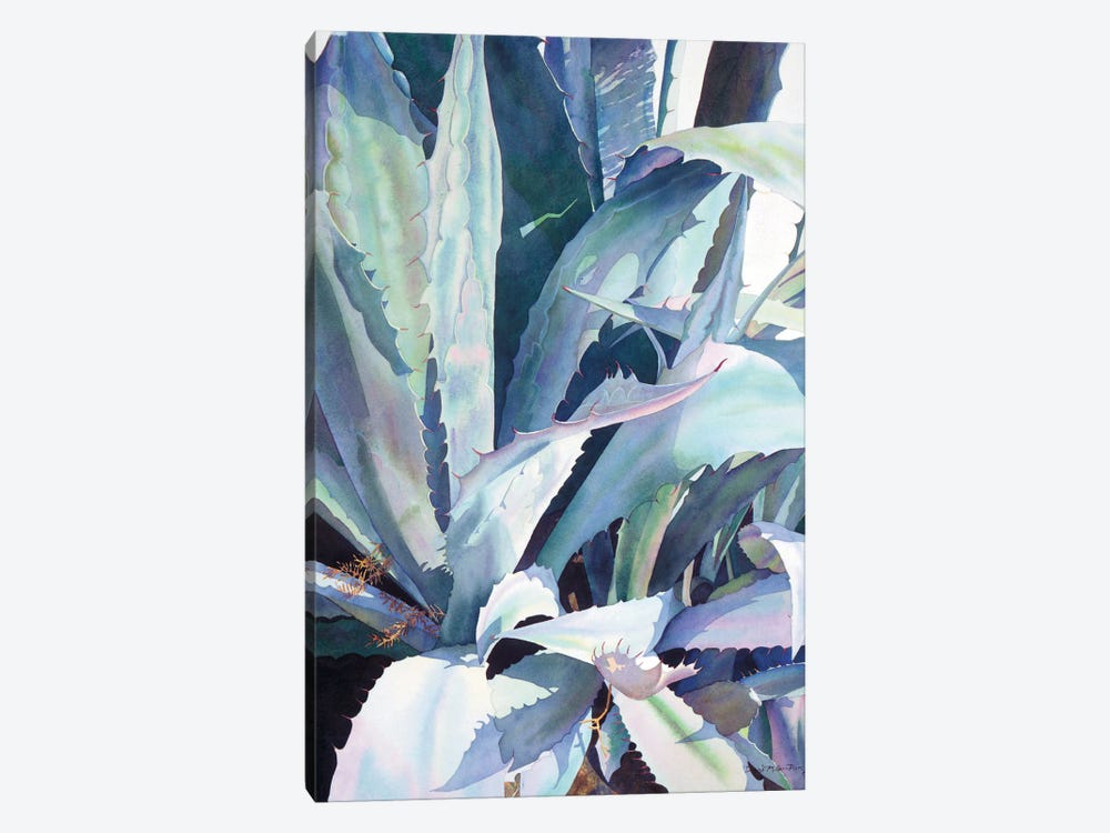 Agave I by Diana Miller-Pierce 1-piece Canvas Wall Art