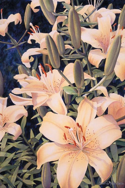 Shades Of Amber by Diana Miller-Pierce canvas print