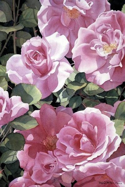 Sonata In Pink by Diana Miller-Pierce art print