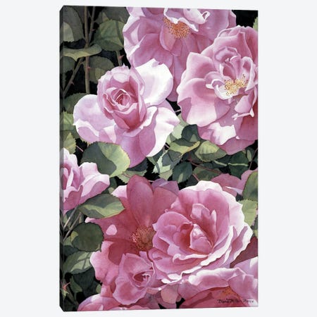 Sonata In Pink Canvas Print #DMP92} by Diana Miller-Pierce Canvas Art Print